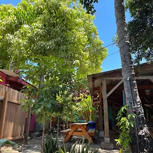 Banana Maui , Wailuku USA